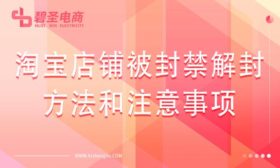 碧圣封面图.png