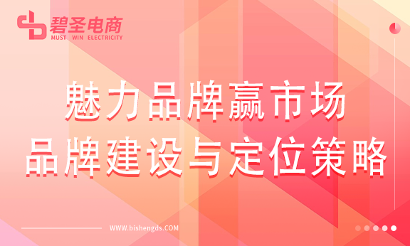 魅力品牌赢市场：品牌建设与定位策略